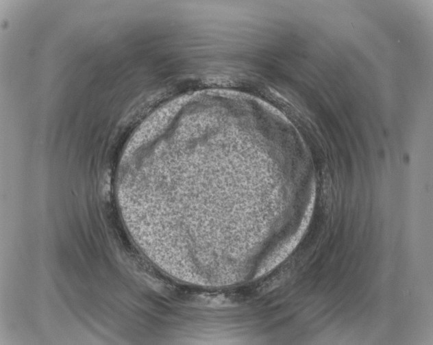 X0000086050502200704202039