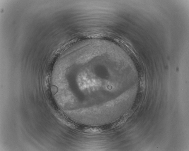 X0000086050503200704202039