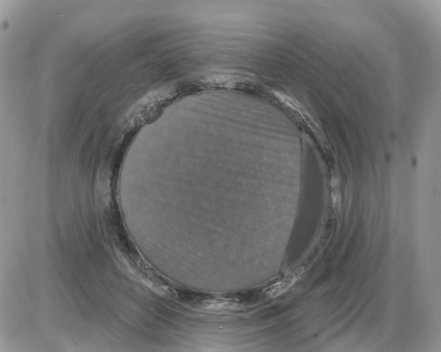 X0000086050504200704202039