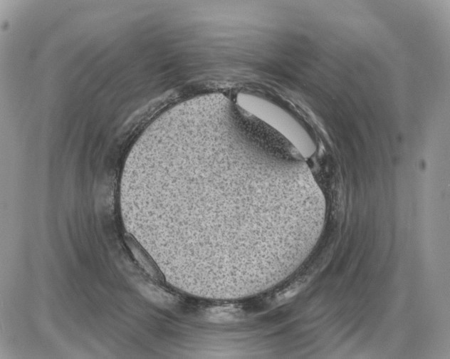 X0000086050505200704202039