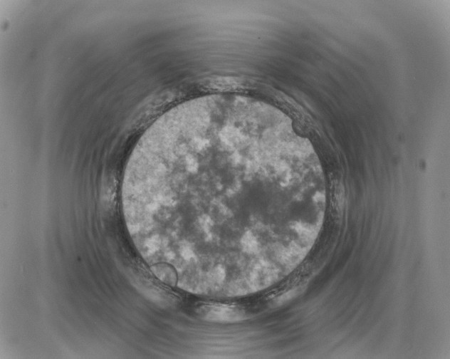 X0000086050507200704202039