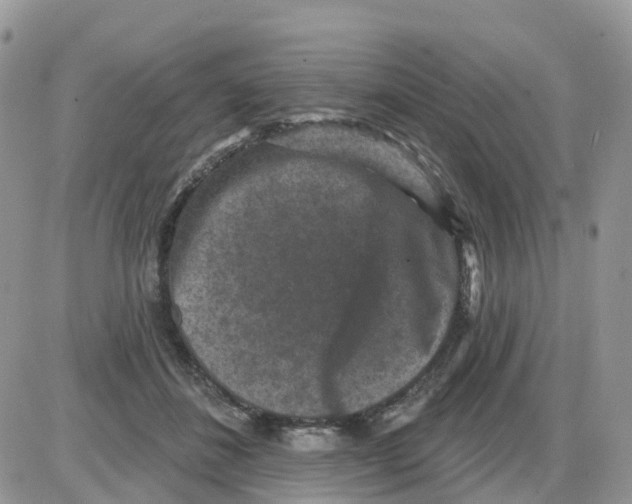 X0000086050508200704202039