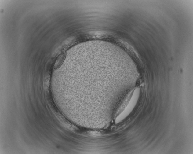 X0000086050509200704202039