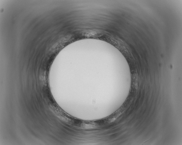 X0000086050510200704202039