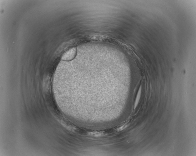 X0000086050511200704202039