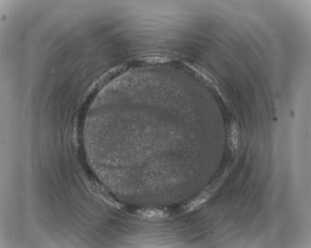 X0000086050512200704202039