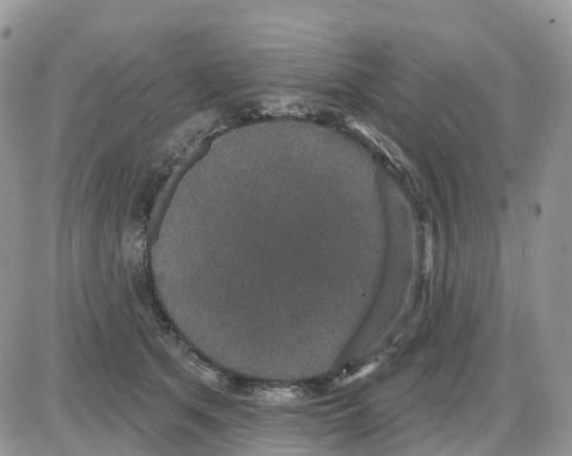 X0000086050513200704202039