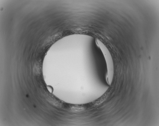 X0000086050515200704202039