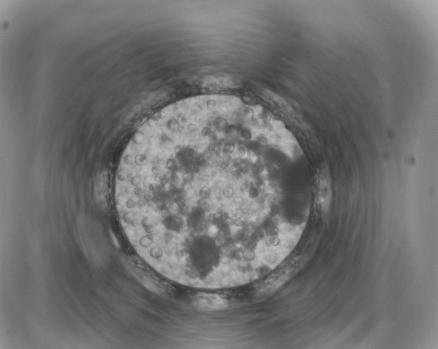 X0000086050519200704202039