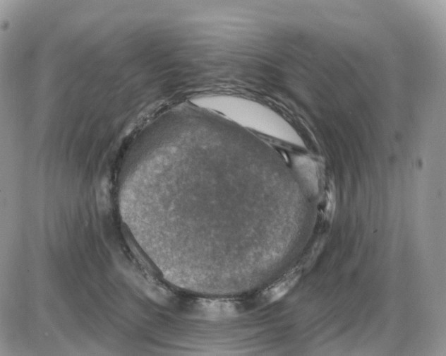 X0000086050520200704202039