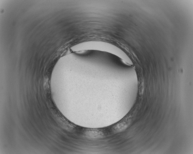 X0000086050521200704202039