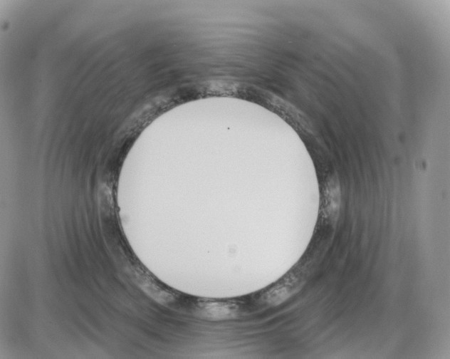 X0000086050522200704202039