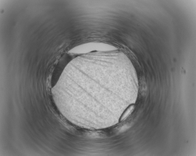 X0000086050523200704202039