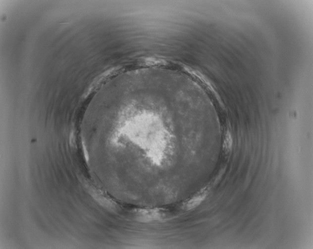 X0000086050524200704202039