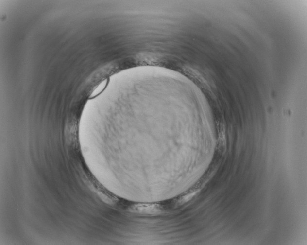 X0000086050526200704202039