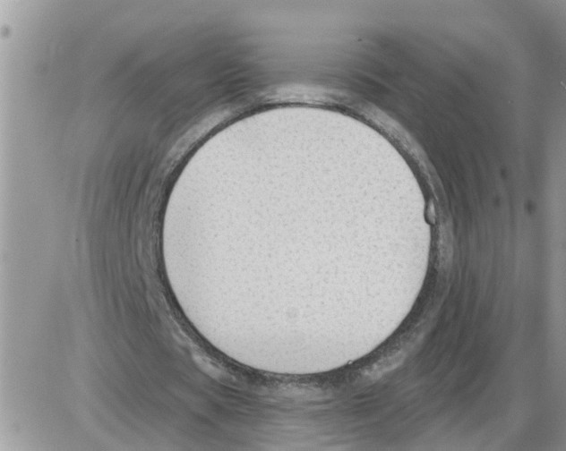 X0000086050529200704202038