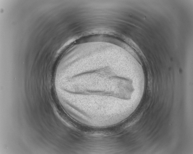 X0000086050530200704202038