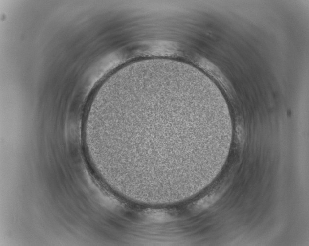 X0000086050534200704202038