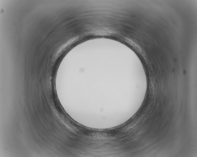 X0000086050535200704202038