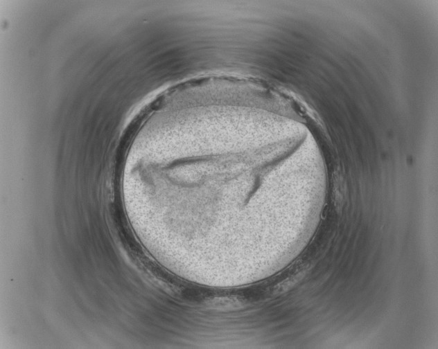 X0000086050536200704202038