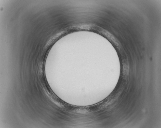 X0000086050537200704202038