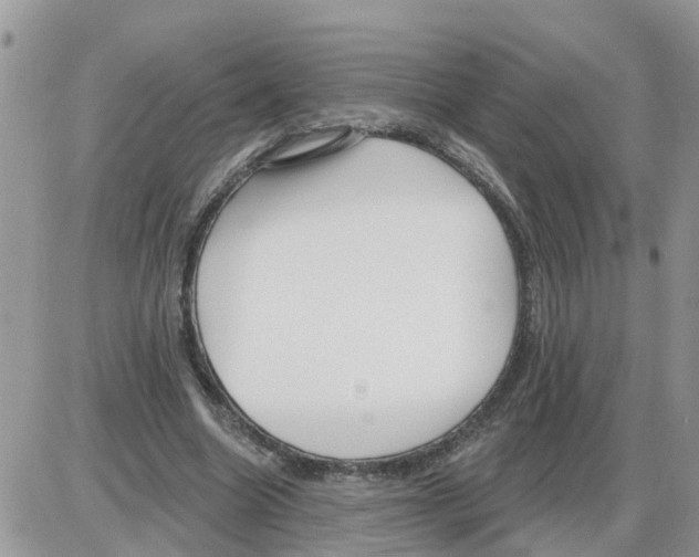 X0000086050538200704202038