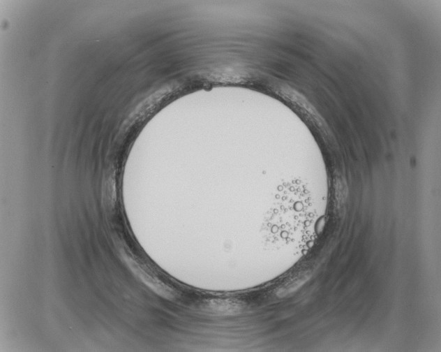 X0000086050541200704202038