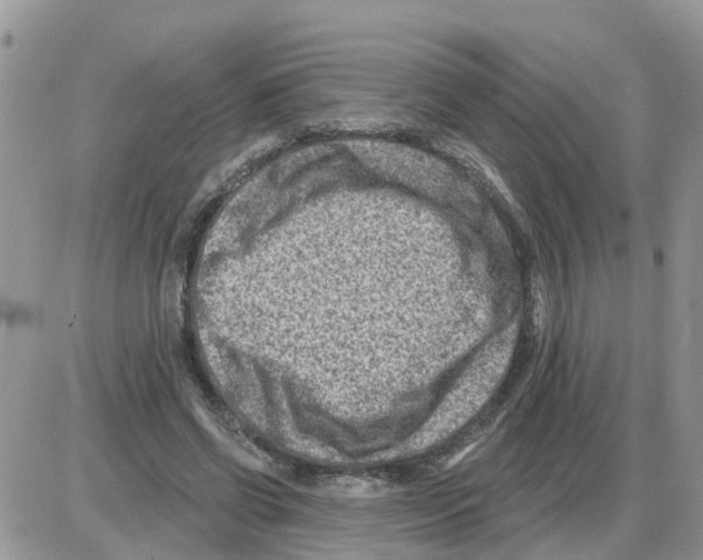 X0000086050542200704202038