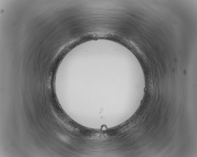 X0000086050543200704202038