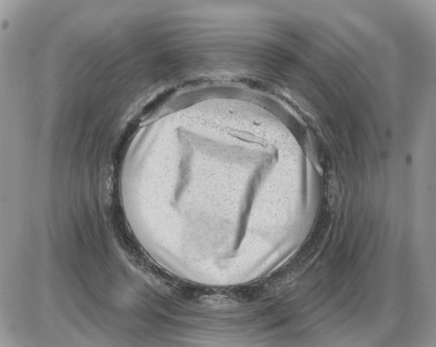 X0000086050544200704202038