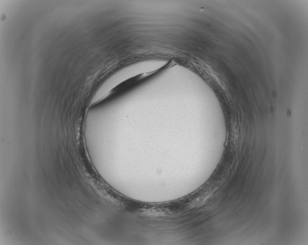 X0000086050545200704202038