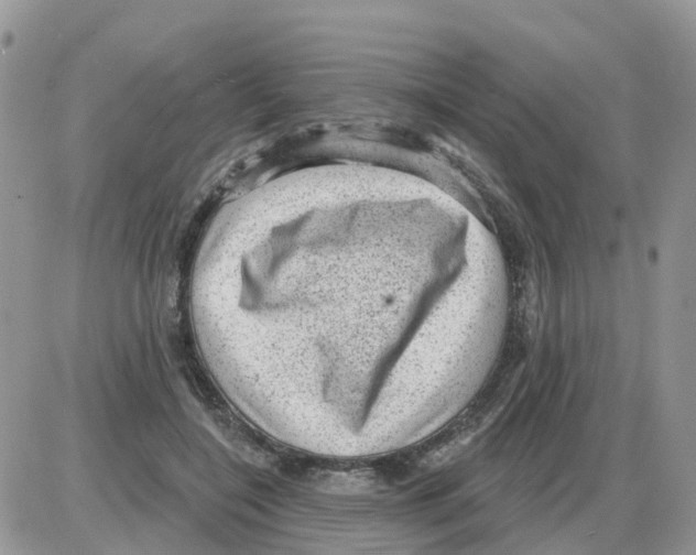 X0000086050548200704202038