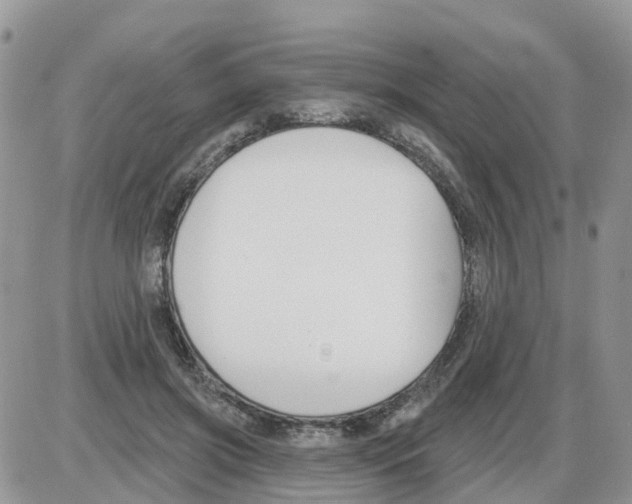 X0000086050549200704202038