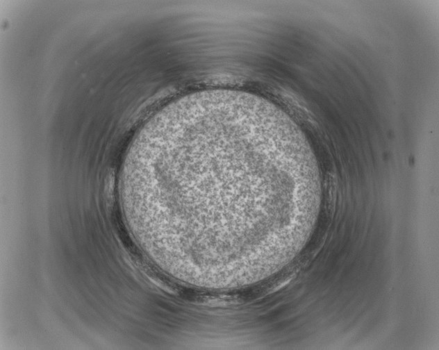 X0000086050550200704202038