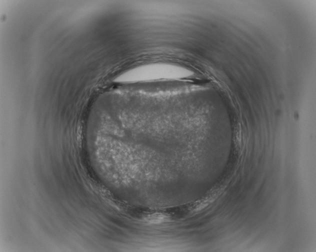 X0000086050551200704202038