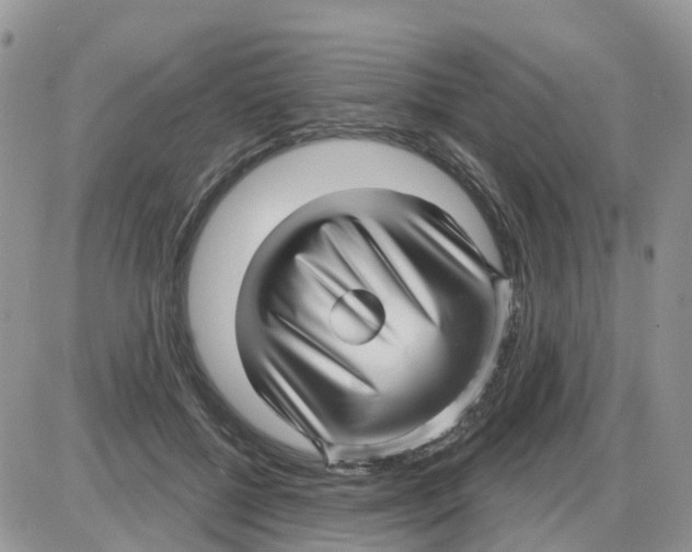 X0000086050552200704202038