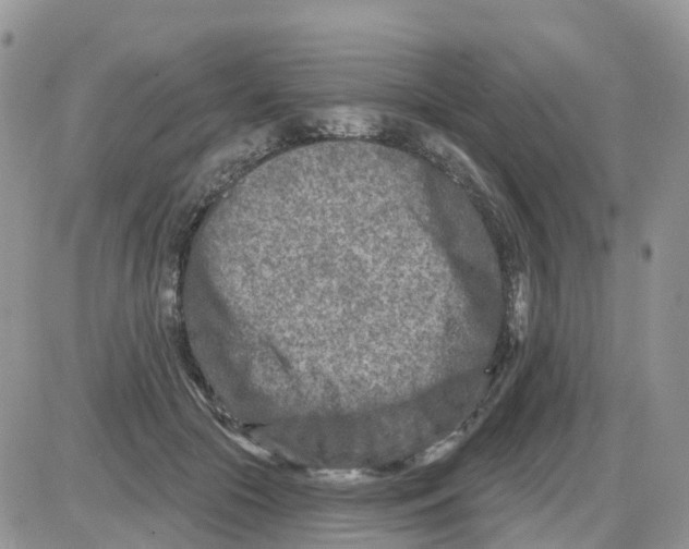 X0000086050553200704202038