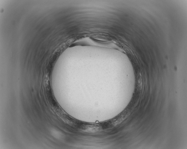 X0000086050555200704202039