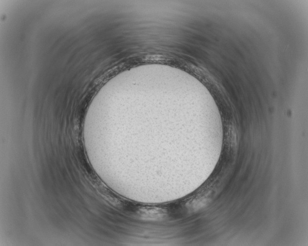 X0000086050557200704202039