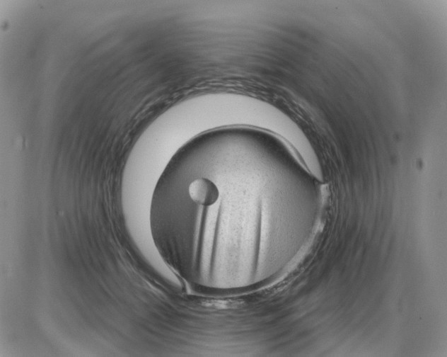 X0000086050558200704202039