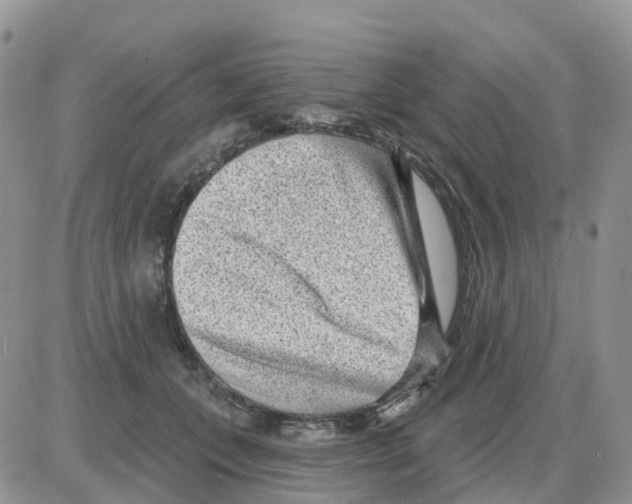 X0000086050559200704202039