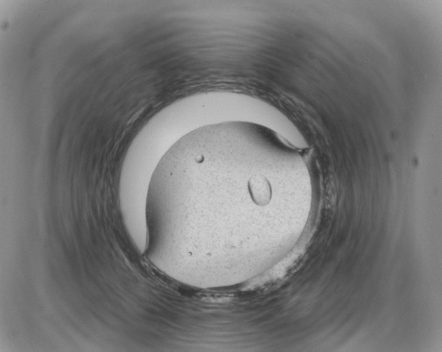 X0000086050560200704202039