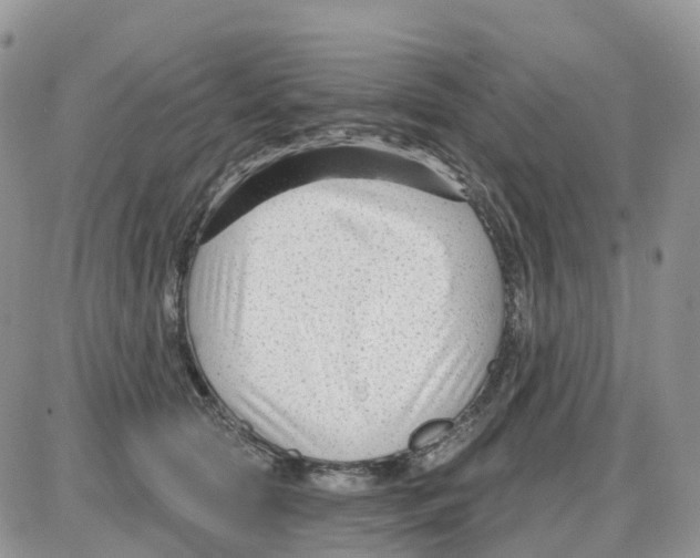 X0000086050561200704202039