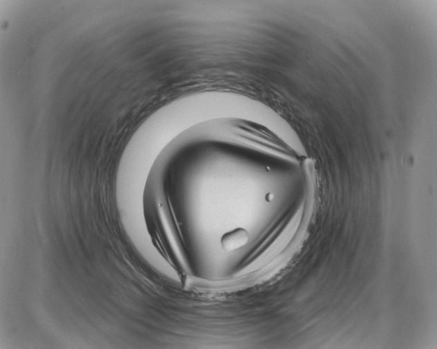 X0000086050562200704202039