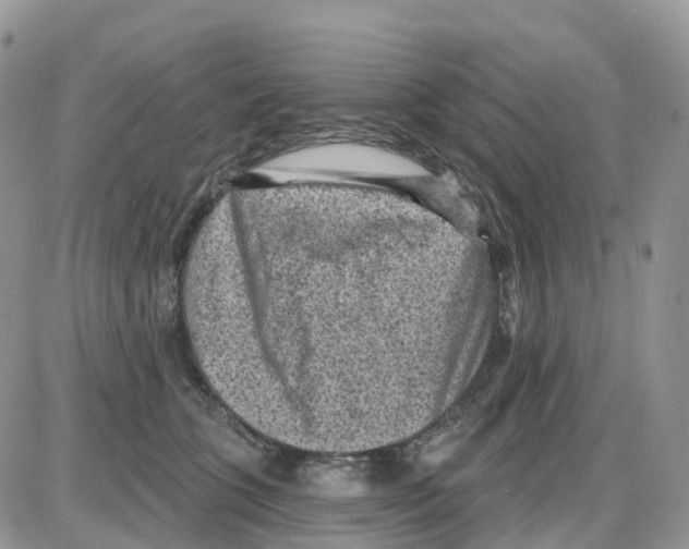 X0000086050563200704202039