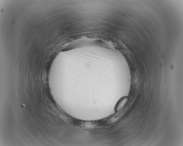 X0000086050565200704202039