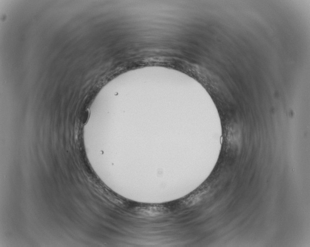 X0000086050567200704202039