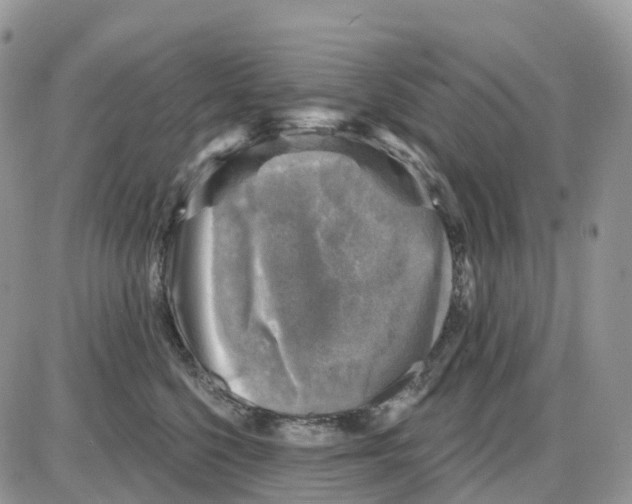 X0000086050568200704202039