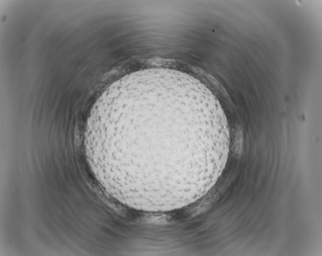 X0000086050569200704202039