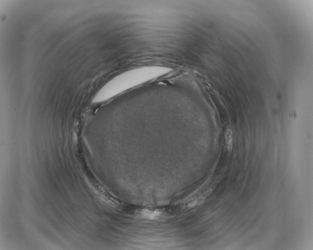 X0000086050570200704202039